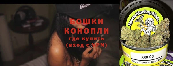 ГАЛЛЮЦИНОГЕННЫЕ ГРИБЫ Абаза