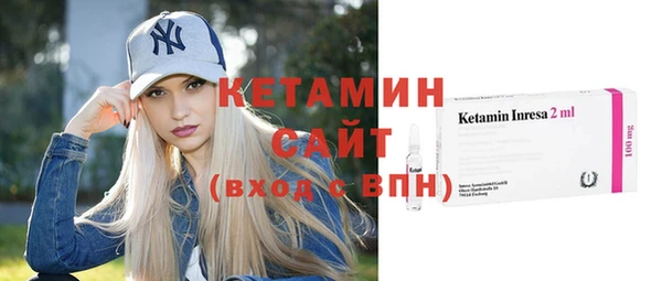 индика Новодвинск