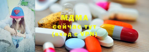 индика Новодвинск