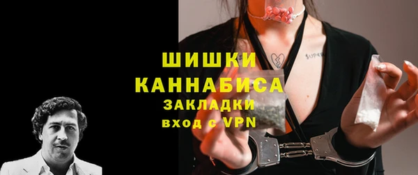 ГАЛЛЮЦИНОГЕННЫЕ ГРИБЫ Абаза