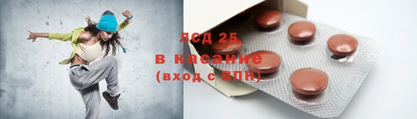 индика Абинск