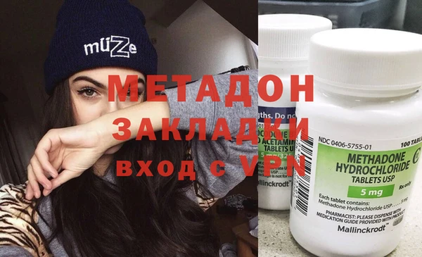 индика Новодвинск