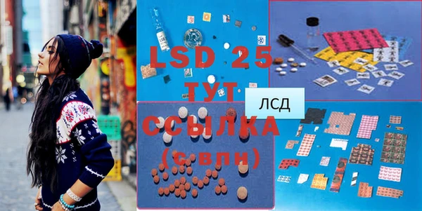 ГАЛЛЮЦИНОГЕННЫЕ ГРИБЫ Абаза