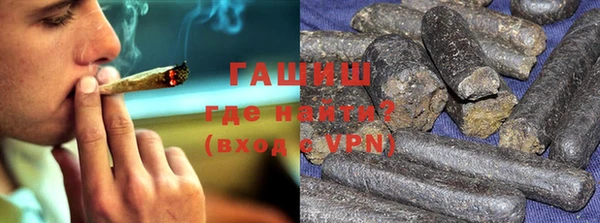 индика Новодвинск