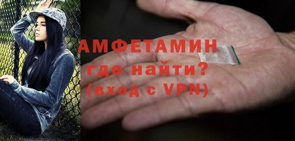 индика Новодвинск