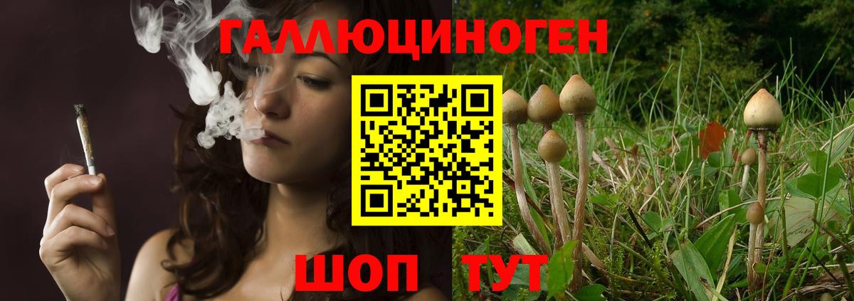 Иваново  Галлюциногенные грибы прущие грибы  Вход с VPN 